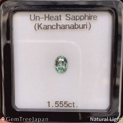Un-Heat Sapphire 1.555ct / Thailand (Kanchanaburi)