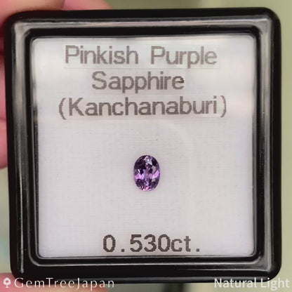 Pinkish Purple Sapphire 0.530ct / Thailand(Kanchanaburi)