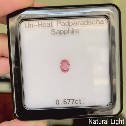 Un-Heat Padparadscha Sapphire 0.677ct / Vietnam