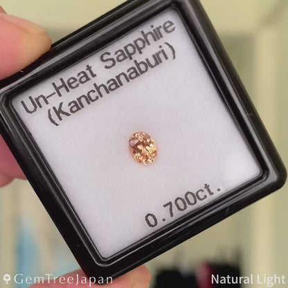 "Light Orange" Un-Heat Sapphire 0.700ct / Thailand (Kanchanaburi)