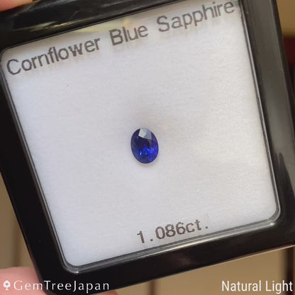【Trial Price】Cornflower Blue Sapphire 1.086ct / Burma