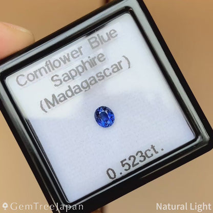 【lulu's Gem】"Spider's Web" Cornflower Blue Sapphire 0.523ct / Madagascar