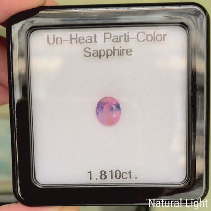 Un-Heat Parti-Color Sapphire 1.810ct / Vietnam