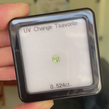 UV Change Tsavorite 0.524ct / Tanzania