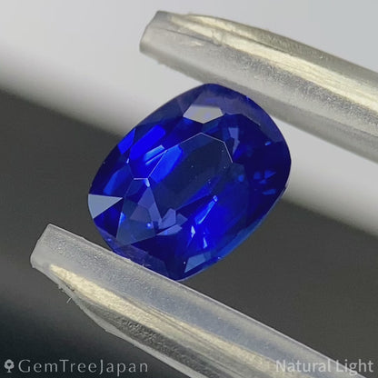 Cornflower Blue Sapphire 1.350ct / Burma