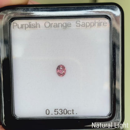Purplish Orange Sapphire 0.530ct / Madagascar