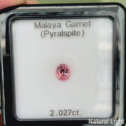 Malaya Garnet (Pyralspite) 2.027ct / Tanzania
