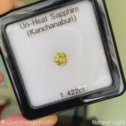 "Fancy Round 16" Un-Heat Sapphire 1.422ct / Thailand(Kanchanaburi)