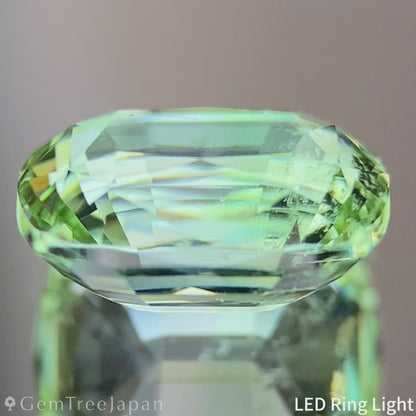 Light Green Tourmaline 2.862ct / Nigeria