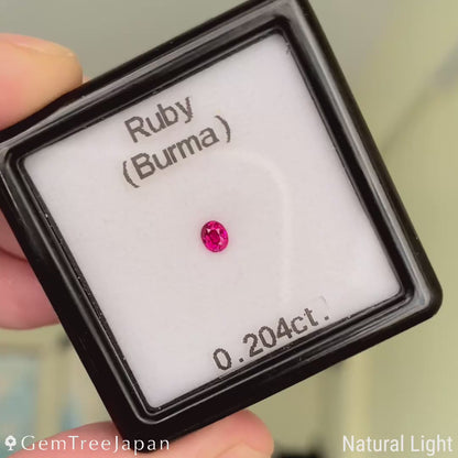 Ruby 0.204ct / Burma