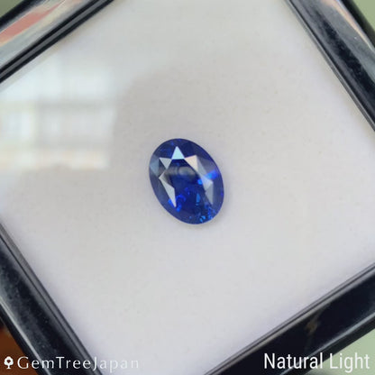 Cornflower Blue Sapphire 5.008ct / Burma