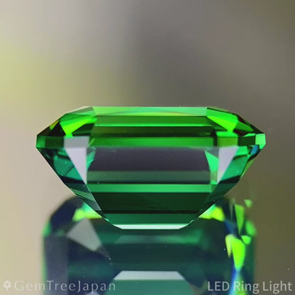 Chrome Tourmaline 1.879ct / Tanzania