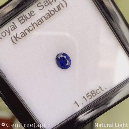 Royal Blue Sapphire 1.158ct / Thailand (Kanchanaburi)