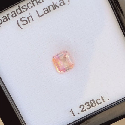 Padparadscha Sapphire 1.238ct / Sri Lanka