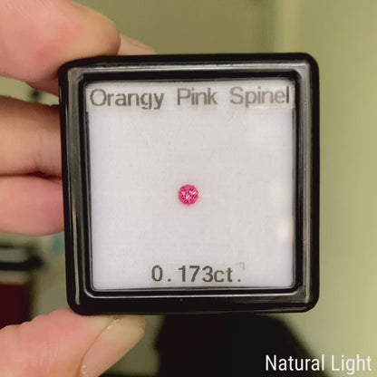 Orangy Pink Spinel 0.173ct / Vietnam