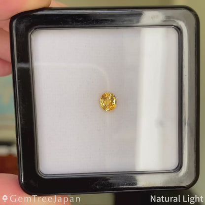 Un-Heat Parti-color Sapphire 1.02ct / Thailand (Kanchanaburi)