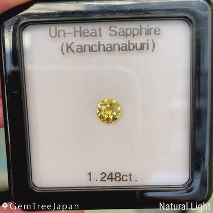 Unheated Sapphire 1.248 ct / Kanchanaburi