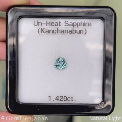 "Mint Blue" Un-Heat Sapphire 1.420ct / Thailand (Kanchanaburi)