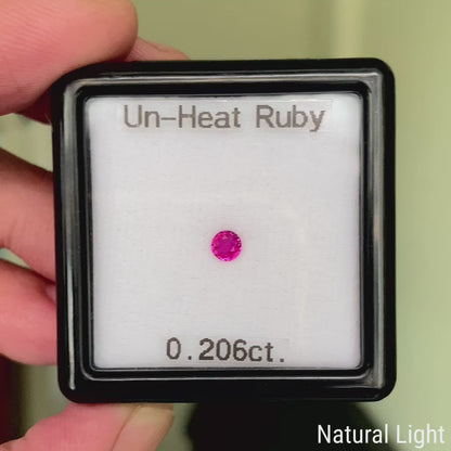 Un-Heat Ruby 0.206ct / Vietnam