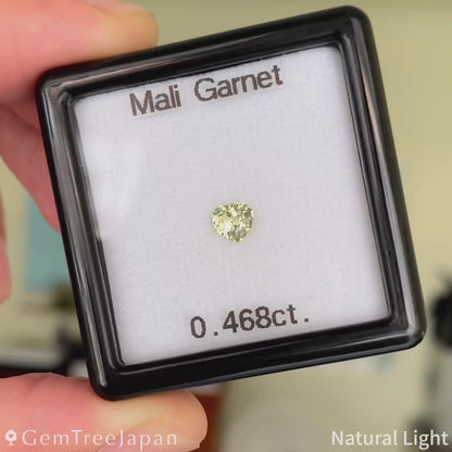 【Trial Price】Mali Garnet 0.468ct / Heart Shape