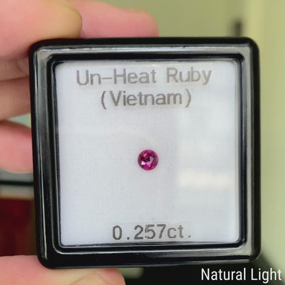 Un-Heat Ruby 0.257ct / Vietnam