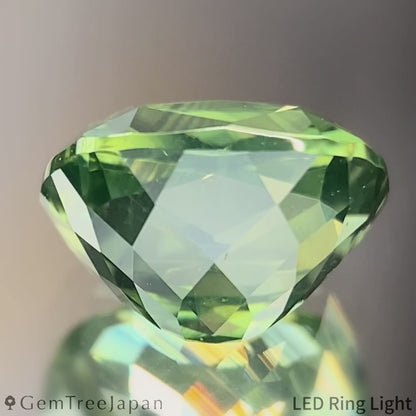 Green Zircon 2.599ct / Sri Lanka