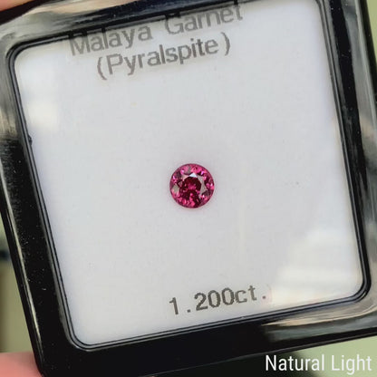 Malaya Garnet (Pyralspite) 1.200ct / Tanzania