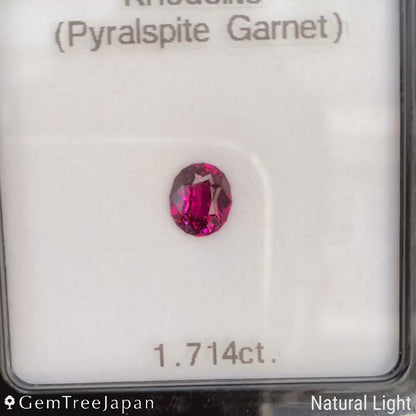 Rhodolite Garnet 1.714ct / Tanzania