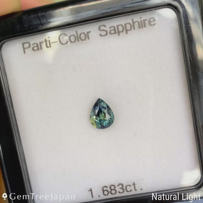 Parti-Color Sapphire 1.683ct / Thailand