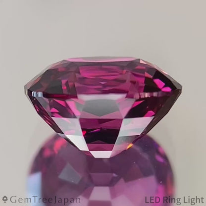 【SP Trial Price】"Table Cube Cut 2" Rhodolite Garnet 2.252ct / Tanzania