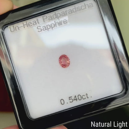 Un-Heat Padparadscha Sapphire 0.540ct / Madagascar