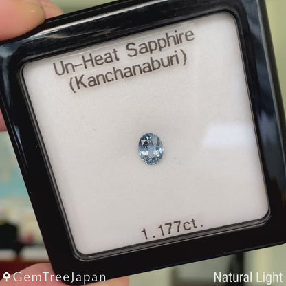 "Ice Mint Blue" Unheated Sapphire 1.177ct / Kanchanaburi