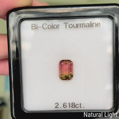 Bi-Color Tourmaline 2.618ct / Brazil