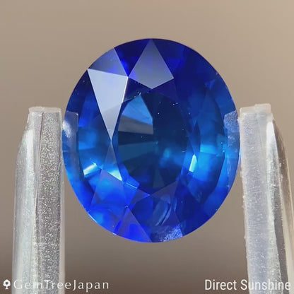【100万円福袋入り】Cornflower Blue Sapphire 3.051ct / Burma