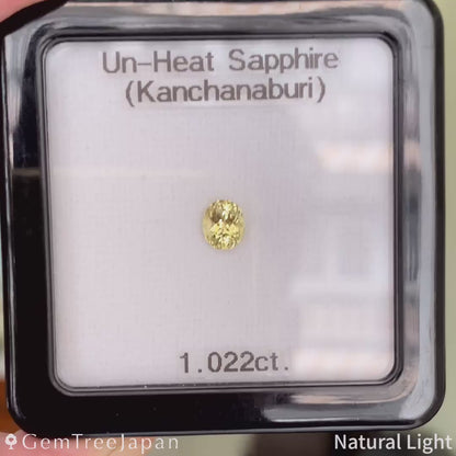 Un-Heat Sapphire 1.022ct / Thailand (Kanchanaburi)