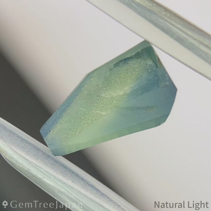 【lulu's Focus】Parti-Color Sapphire 1.034ct / Madagascar