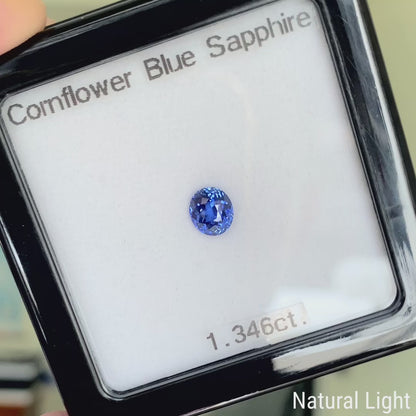 Cornflower Blue Sapphire 1.346ct / Burma