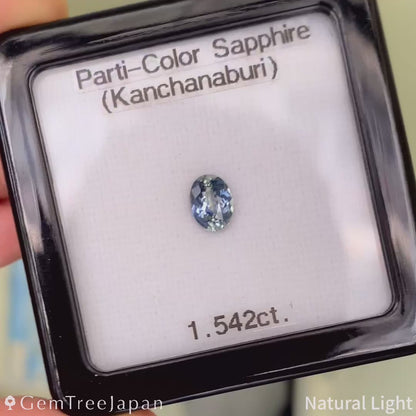 Parti-Color Sapphire 1.542ct / Thailand(Kanchanaburi)
