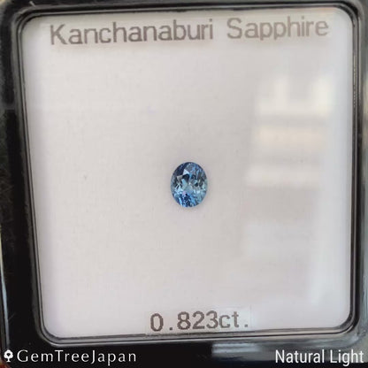 Kanchanaburi Sapphire 0.823ct / Thailand