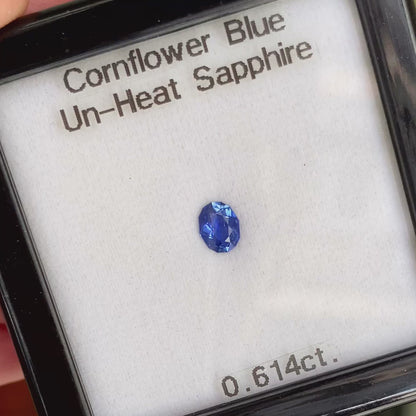 Un-Heat Cornflower Blue Sapphire 0.614ct / Burma