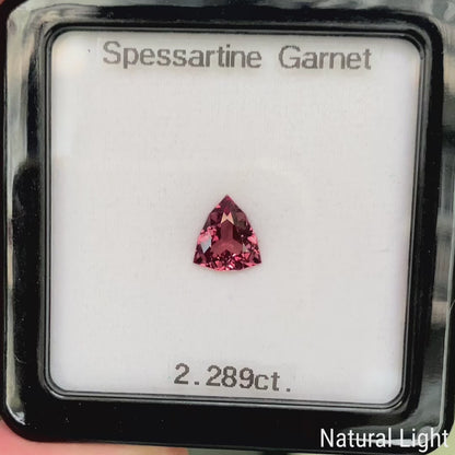 Spessartine Garnet 2.289ct / Tanzania
