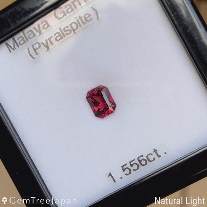 Malaya Garnet 1.556ct / Tanzania