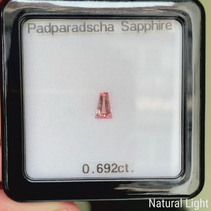 Padparadscha Sapphire 0.692ct / Madagascar