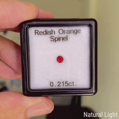 Redish Orange Spinel 0.215ct / Vietnam