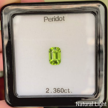 Peridot 2.360ct / Vietnam