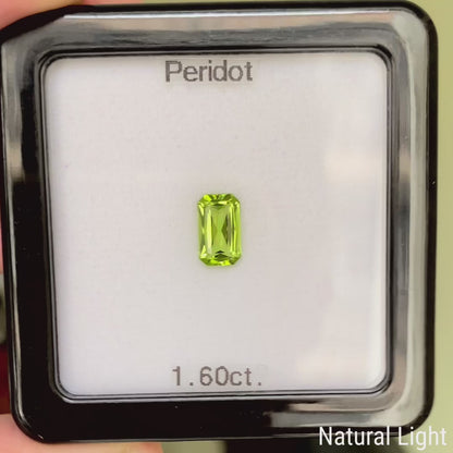 Peridot 1.60ct / Vietnam