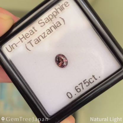 Un-Heat Sapphire 0.675ct / Tanzania