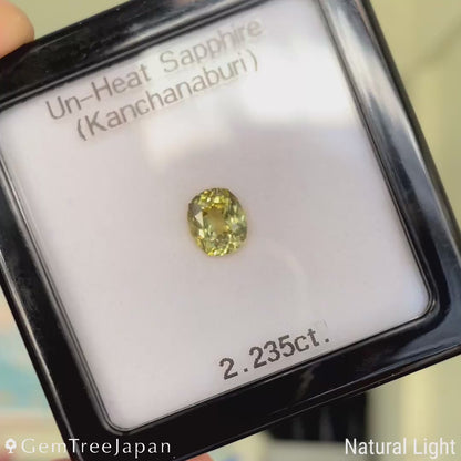 Unheated Sapphire 2.235ct / Kanchanaburi