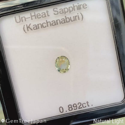 Unheated Sapphire 0.892ct / Kanchanaburi