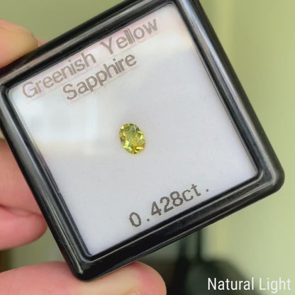 Greenish Yellow Sapphire 0.428ct / Vietnam